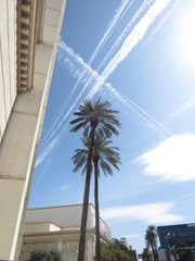 IMG_1461.jpg