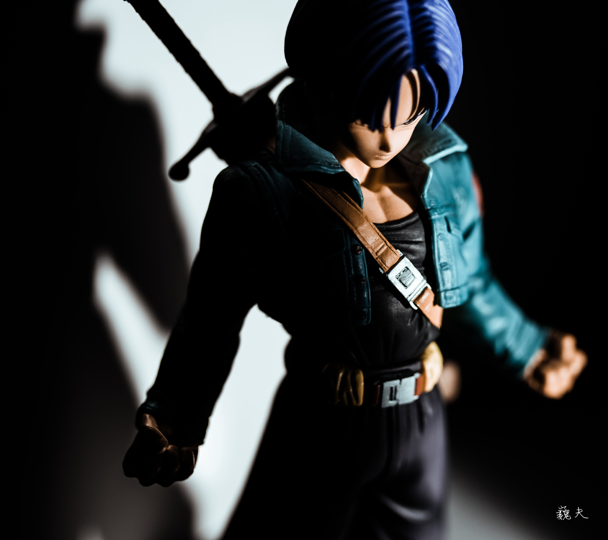 卡卡罗特与特兰克斯