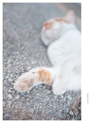 DSCF0710_