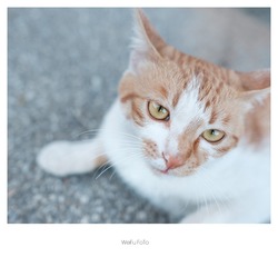 DSCF0714_