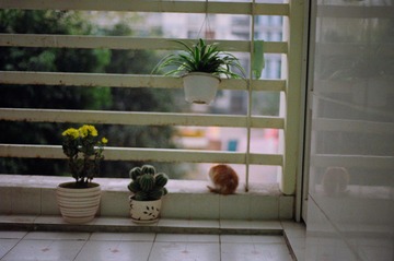 03110025.JPG