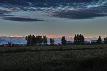 _P3M1204