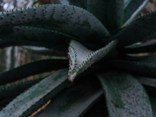 P5150074
