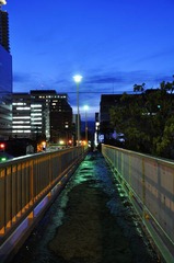 _DSC0518.JPG