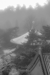 雾霭潭柘寺