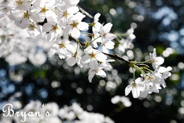 _MG_6773.jpg