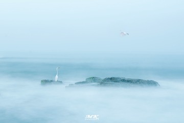 _DSC4487-已增强