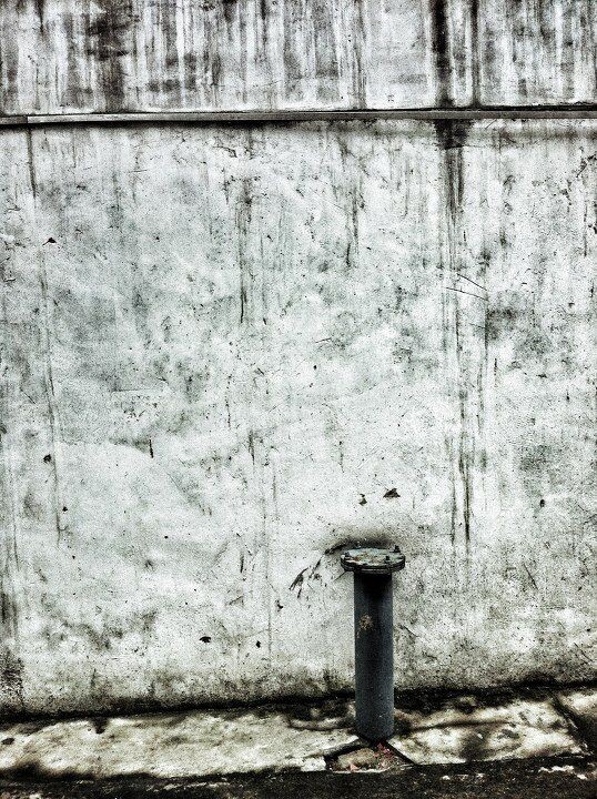 Photo by iphone.<br />
