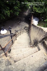 IMG_3192.jpg
