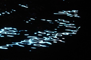 IMG_4606.JPG