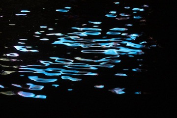 IMG_4612.JPG