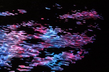 IMG_4615.JPG