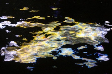 IMG_4617.JPG