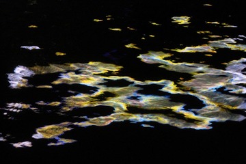 IMG_4618.JPG