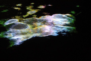 IMG_4624.JPG