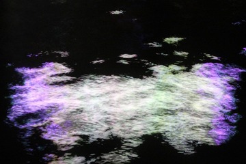 IMG_4626.JPG