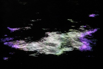 IMG_4627.JPG