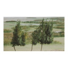 BC72C6AE-C125-4929-99B4-F73F99C898F4/L0/001