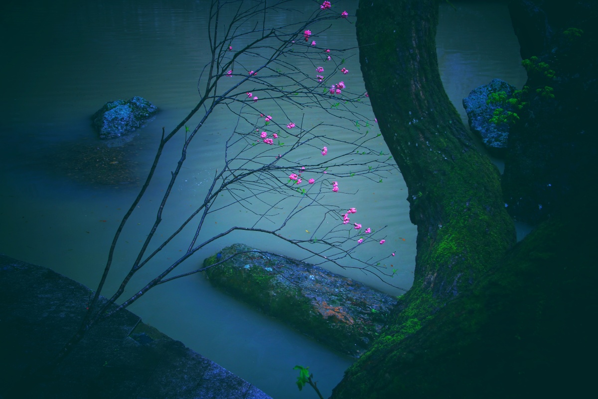 桃花流水窅然去,别有天地非人间!