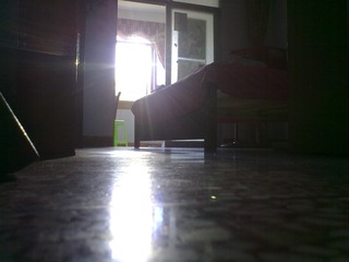 201308081364