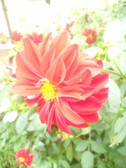 IMG_20160703_112215