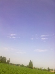 20130722803