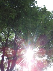 IMG_20160605_155750