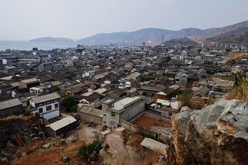 219.jpg