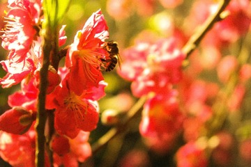SAM_1031