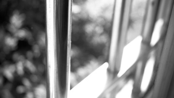 _SAM1749-2