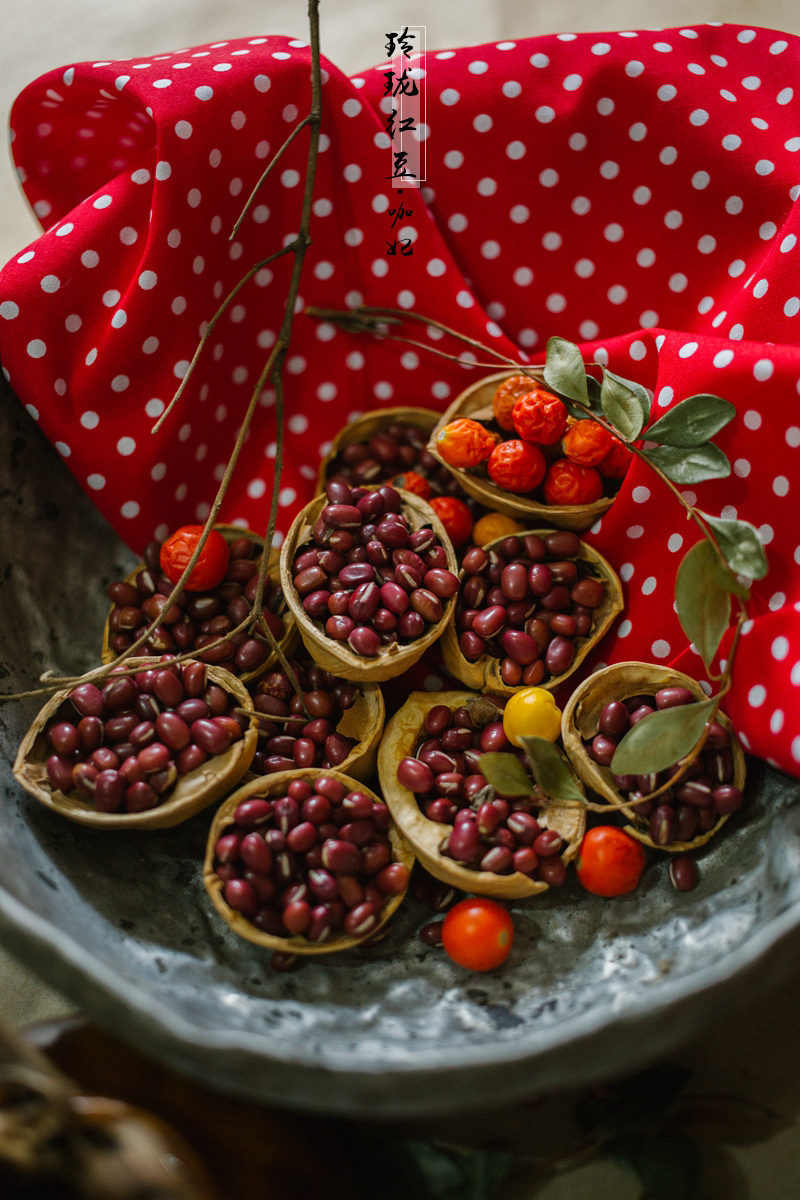 玲珑骰子安红豆是谁的 17056990.jpg