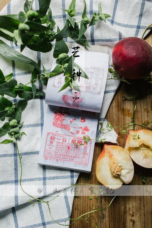 今日芒种，螳螂生；鹏始鸣；反舌无声。从今起，家院已然小森林，庸切马铃杰dn啊潘切乌啊切瓜黄sei黄葡拔do啊乌do啊gie苦瓜bo切……慢慢收获。