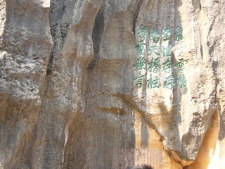 P1020588