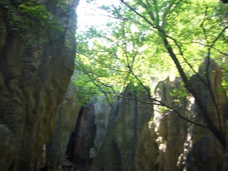 P1020597