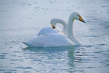 IMG_8832调整