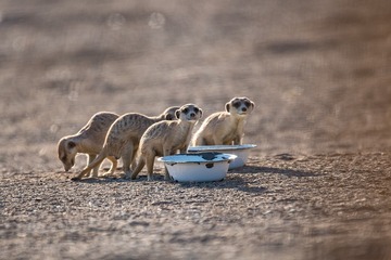 _DSC50261
