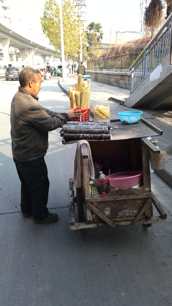 汉阳街头卖甘蔗的老大爷