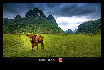 _MG_3953y_2