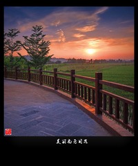 _MG_4647__2___
