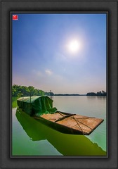 _MG_61173________dh