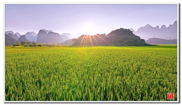 _MG_5567__