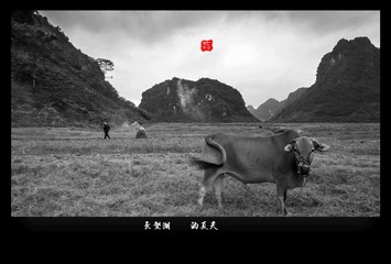 _MG_4045_____