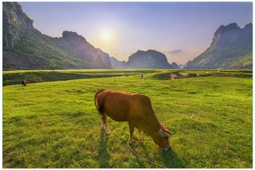 “IMG_2677”为智能对111________