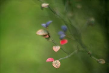 “IMG_4131”为智能对象-1___