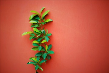 “IMG_4234”为智能对象-1___