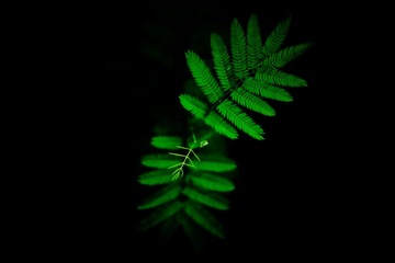 “IMG_4117”为智能对象-1_2__
