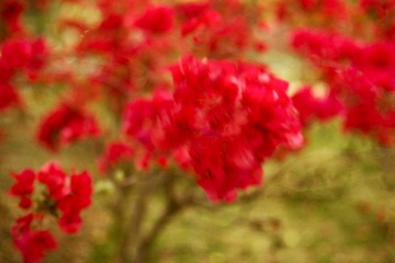“IMG_5077”为智能对象-1