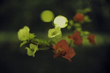 “IMG_5049”为智能对象-14___