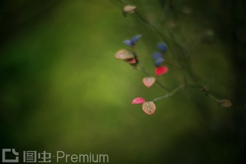 “IMG_4131”为智能对象-1____1_
