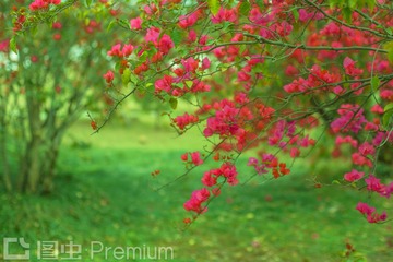 “IMG_4331”为智能对象-1_______